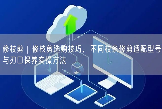 修枝剪｜修枝剪选购技巧，不同枝条修剪适配型号与刃口保养实操方法