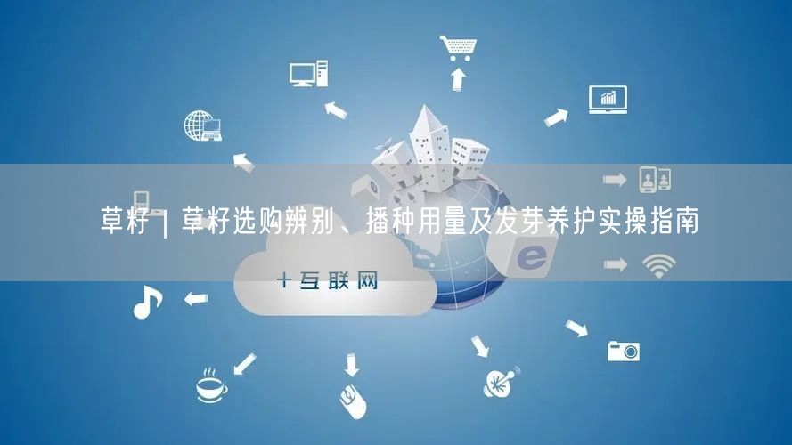 草籽｜草籽选购辨别、播种用量及发芽养护实操指南
